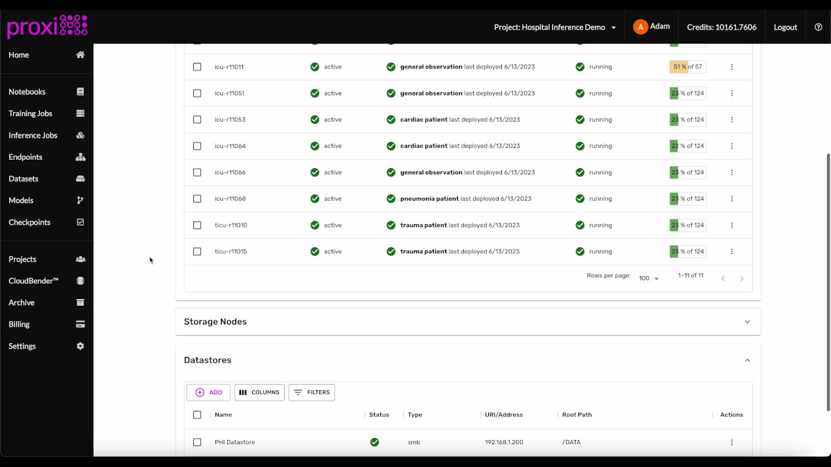 Regional inference and datastores screenshot